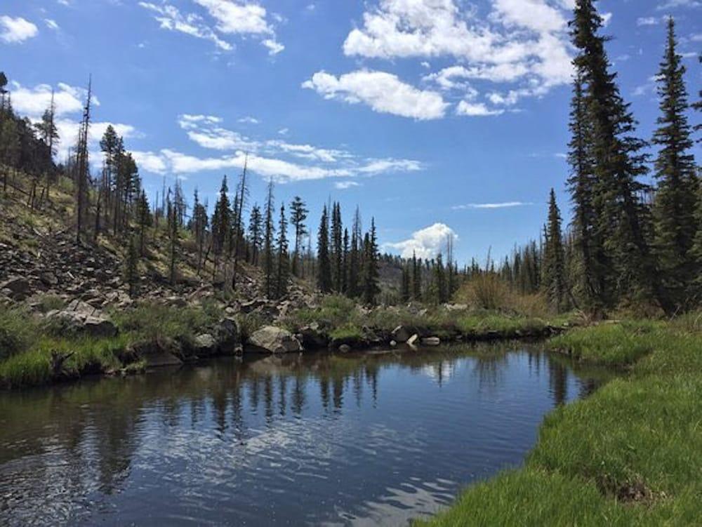 Pinetop Studio Suites 外观 照片